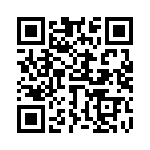 653E13302I3T QRCode