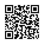 653P17506A3T QRCode