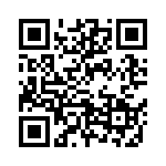 68-PRS13117-16 QRCode