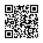 80-560333-10P QRCode