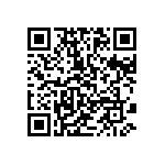 800-10-063-20-004101 QRCode