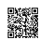 803-83-038-53-001101 QRCode