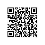 803-87-068-53-001101 QRCode