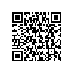 813-S1-028-10-016101 QRCode