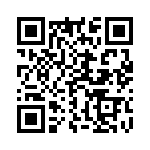 9-1393809-1 QRCode