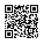 919722 QRCode