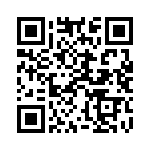 924227-28-06-I QRCode