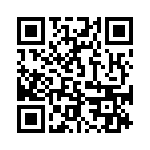 95278-101B20LF QRCode