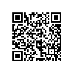 97-3107A22-19P-417 QRCode