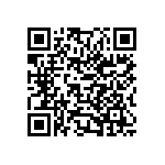 970-009-010-011 QRCode