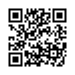 999-19-210-06 QRCode