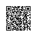 9T06031A1102CBHFT QRCode