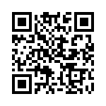 ACM24DSEI-S13 QRCode