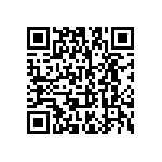 B32521E6103K000 QRCode