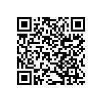 B32522N6105K289 QRCode