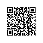 B32529C1104M289 QRCode