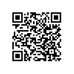 B32559C1333K289 QRCode