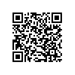 B32560J6153K289 QRCode