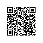 B32561J3104K289 QRCode