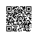 B32653A4125J000 QRCode