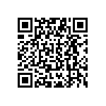 B49410B2506Q000 QRCode