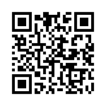 B57231V2333J60 QRCode