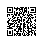 B57431V2333K062 QRCode