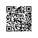 B65805J0250A041 QRCode