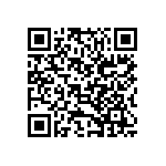 B65811J0250A041 QRCode