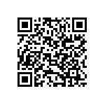 B65811J0250J041 QRCode