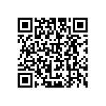 B65933A0000X033 QRCode