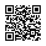 BC-538769-013 QRCode