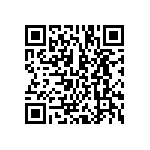 BCS-123-L-D-PE-013 QRCode