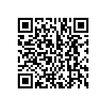 BCS-133-L-D-DE-041 QRCode