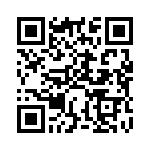 BDST29 QRCode