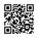 BFC233840333 QRCode