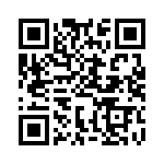 BFC233848021 QRCode