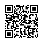 BFC233868421 QRCode