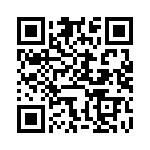 BFC236745333 QRCode