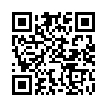 BFC237965333 QRCode