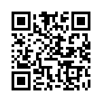 BFC238566132 QRCode