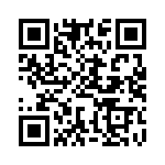 BFC241863304 QRCode