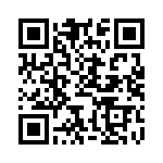 BFC246929334 QRCode