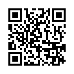 BFC247029333 QRCode