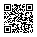 BFC247045823 QRCode