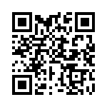 BKT-113-03-L-V QRCode