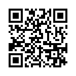 BKT-123-04-L-V QRCode