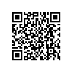 BKT-125-01-F-V-P-TR QRCode