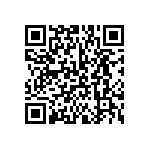 BKT-133-04-FM-V QRCode