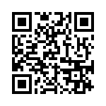 BKT-137-03-L-V QRCode